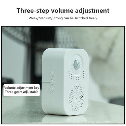 Inductive Doorbell Voice Reminder